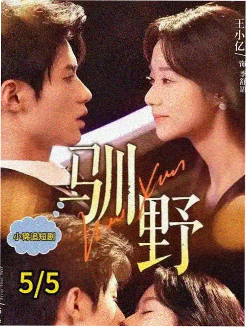 科幻恋爱动画《第九次日落》封面图